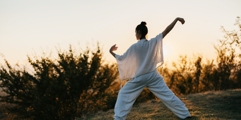 pratique de tai chi bénéfique à la santé tai chi aix les bains chambéry